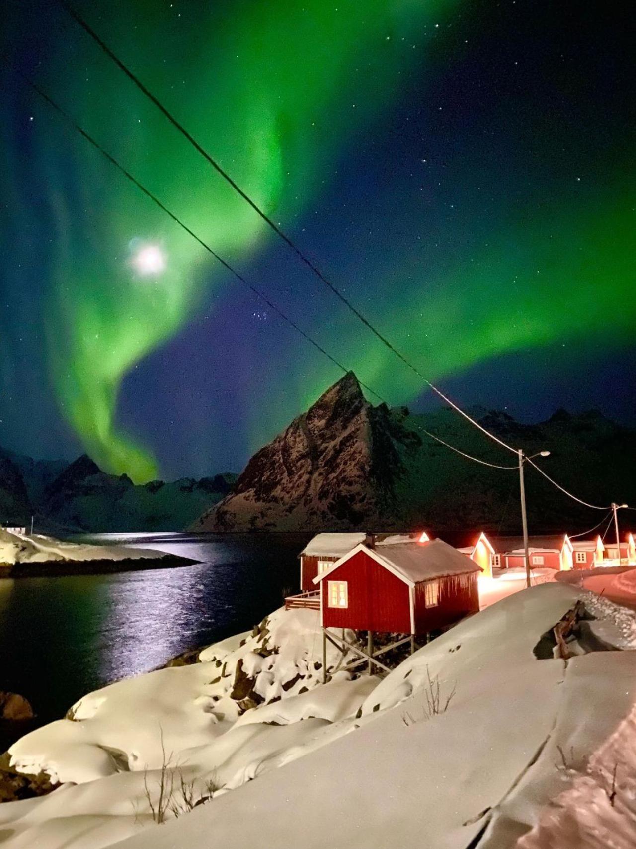 Kb Basement Apartment Sørvågen Dış mekan fotoğraf