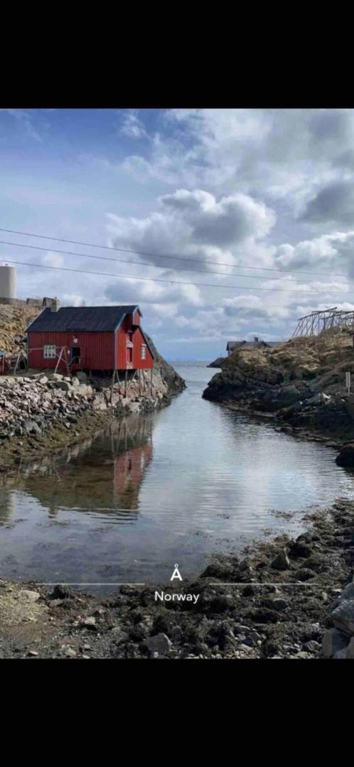 Kb Basement Apartment Sørvågen Dış mekan fotoğraf