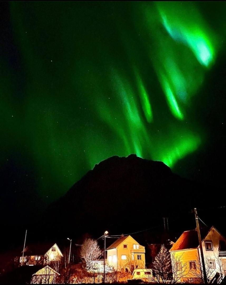 Kb Basement Apartment Sørvågen Dış mekan fotoğraf