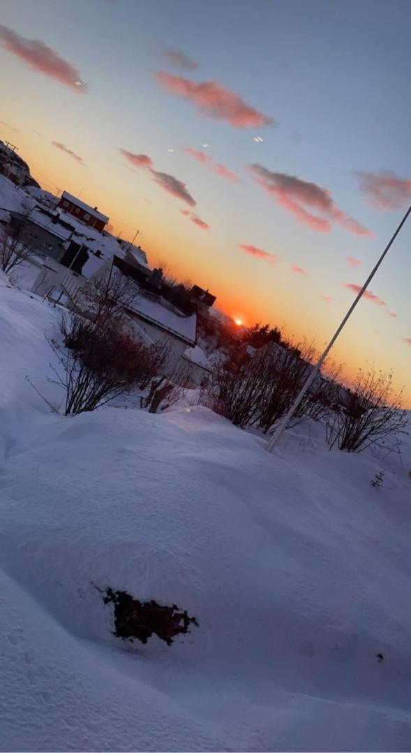 Kb Basement Apartment Sørvågen Dış mekan fotoğraf